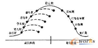 企業(yè)生命周期模型